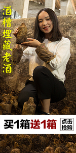 醉臣埋藏老酒买一箱送一箱(1).jpg 醉臣埋藏老酒买一箱送一箱(1).jpg