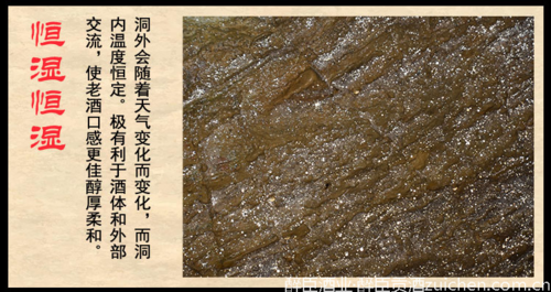 洞藏老酒是真的吗?醉臣独家揭秘 洞藏老酒是真的吗?醉臣独家揭秘