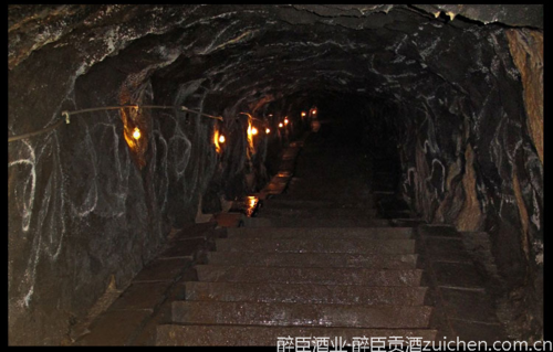 洞藏老酒是真的吗?醉臣独家揭秘洞藏特点 洞藏老酒是真的吗?醉臣独家揭秘洞藏特点